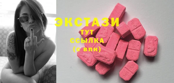 молекула духа Богданович