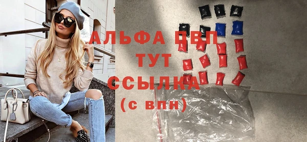 ГАЛЛЮЦИНОГЕННЫЕ ГРИБЫ Бородино