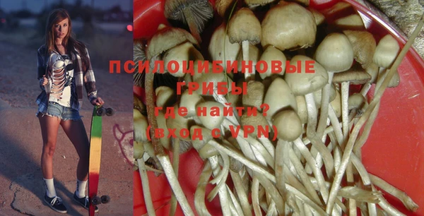 молекула духа Богданович