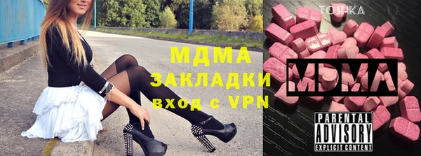 молекула духа Богданович