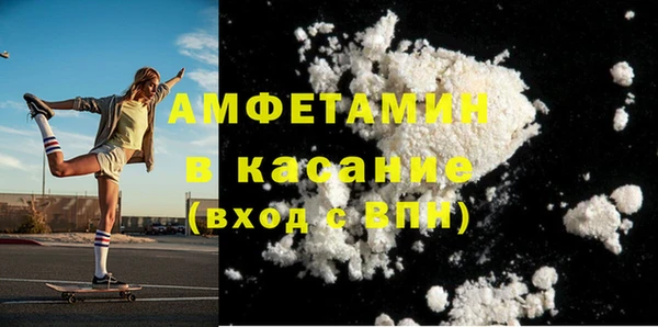 молекула духа Богданович