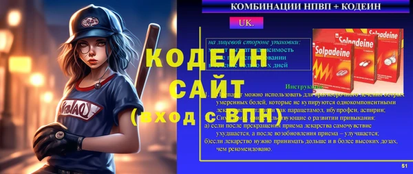 молекула духа Богданович