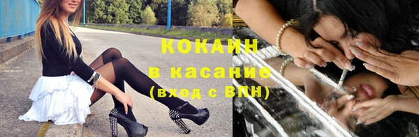 ГАЛЛЮЦИНОГЕННЫЕ ГРИБЫ Бородино