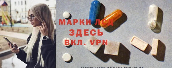 ГАЛЛЮЦИНОГЕННЫЕ ГРИБЫ Бородино