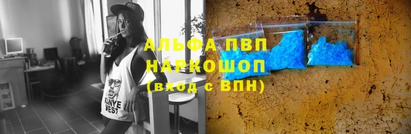 молекула духа Богданович