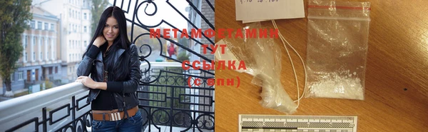 ГАЛЛЮЦИНОГЕННЫЕ ГРИБЫ Бородино
